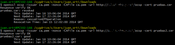 OpenSSL OCSP test